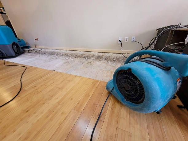 Professional Burst Pipe Water Damage technician working in Burlison, TN